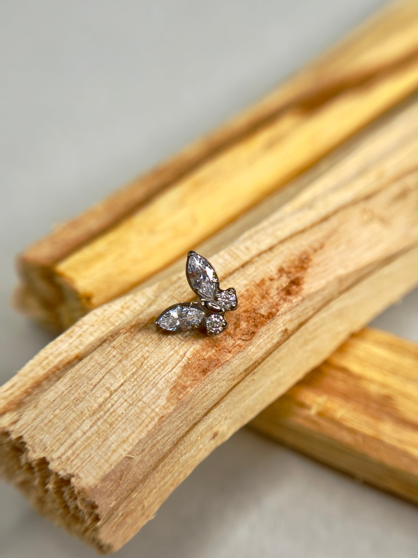 Baby butterfly