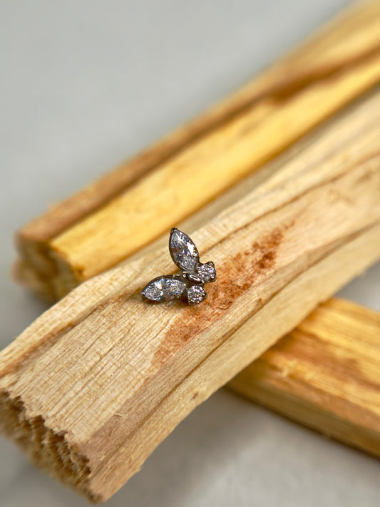 Baby butterfly